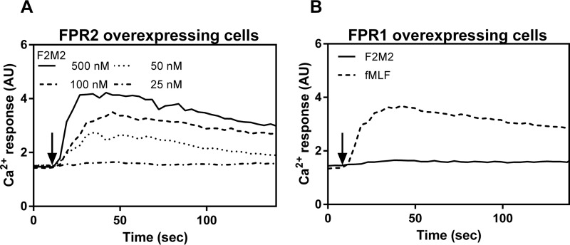 FIGURE 5.