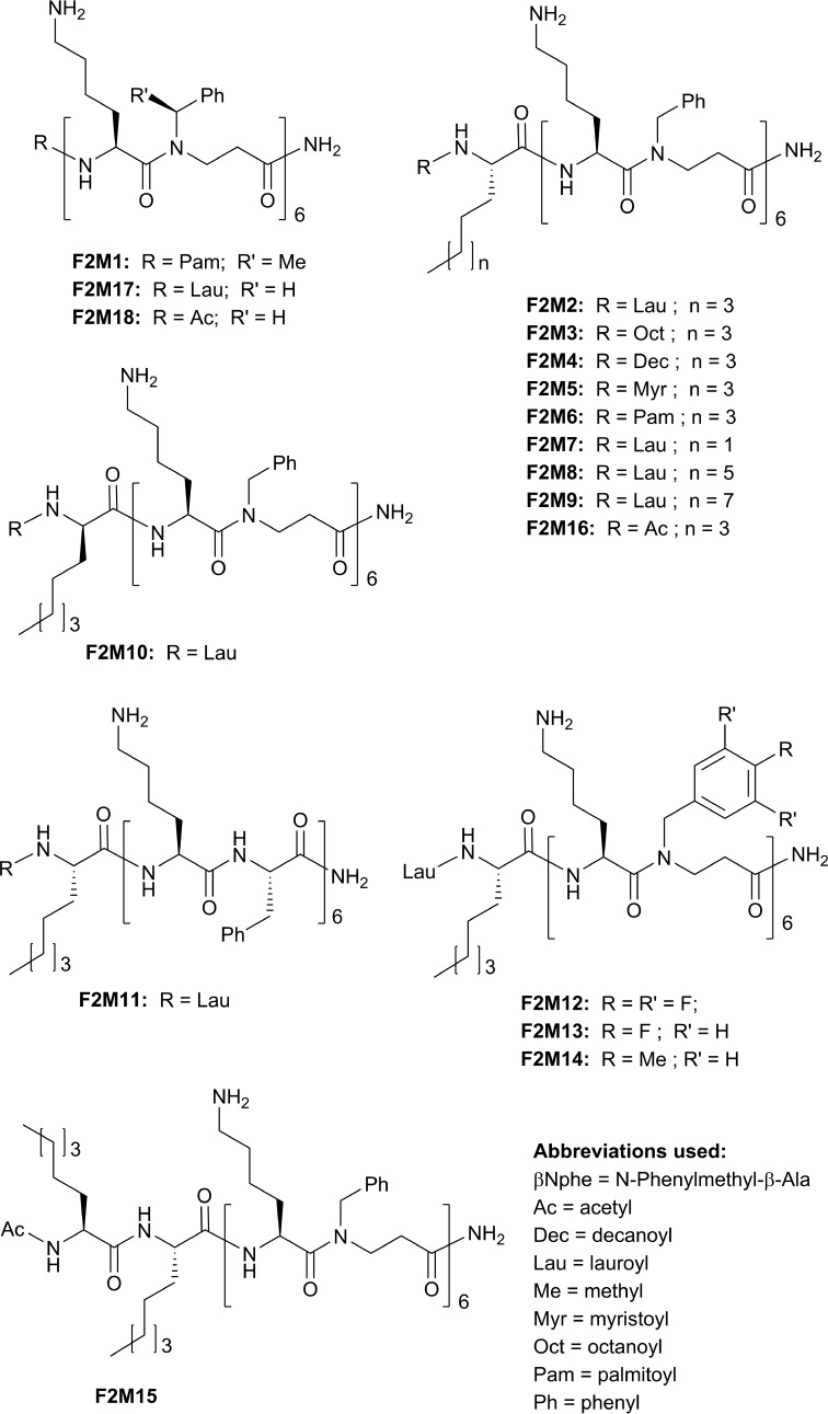 FIGURE 2.