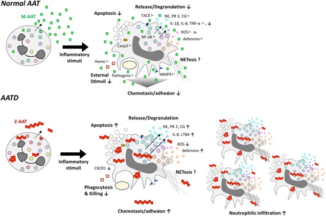 FIGURE 3