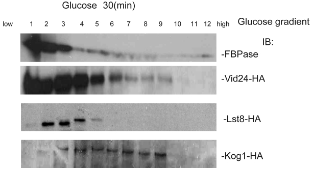 Fig S3