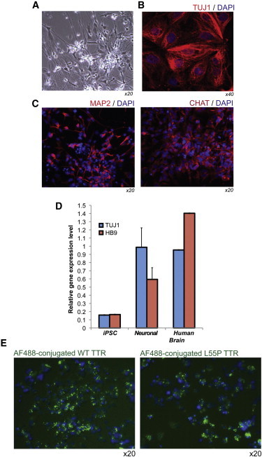 Figure 4