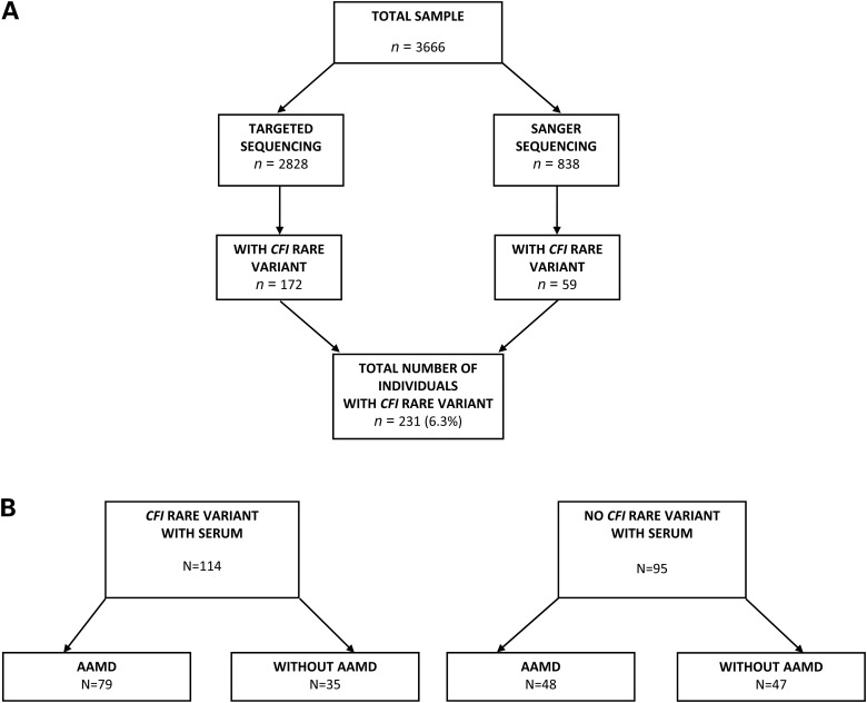 Figure 1.