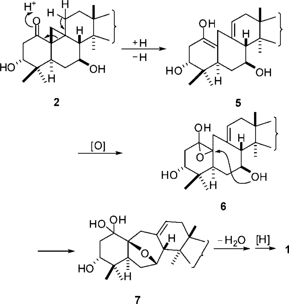 Scheme 1