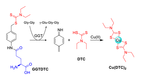 Scheme 1.