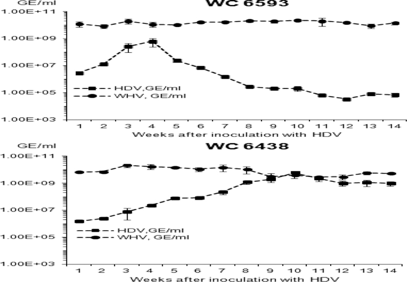 Fig 1.