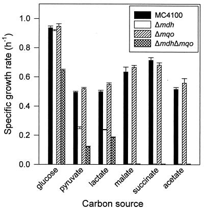 FIG. 3