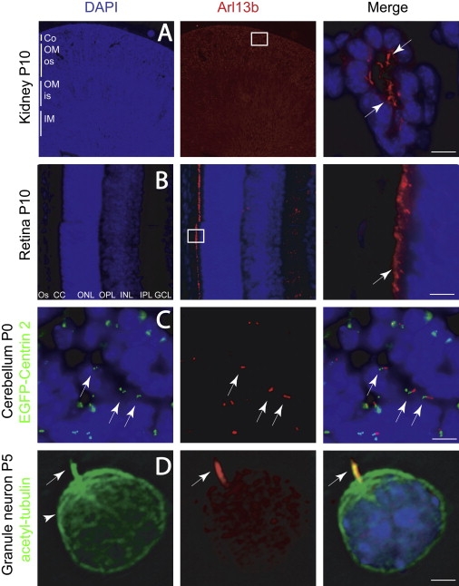 Figure 3