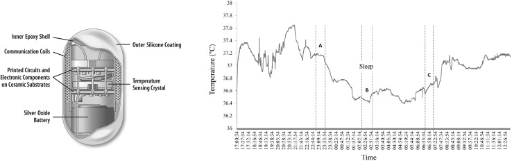 Fig. 4