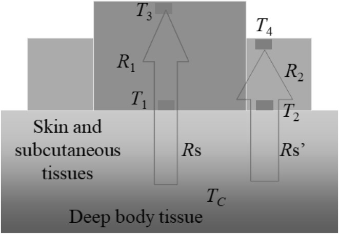 Fig. 6