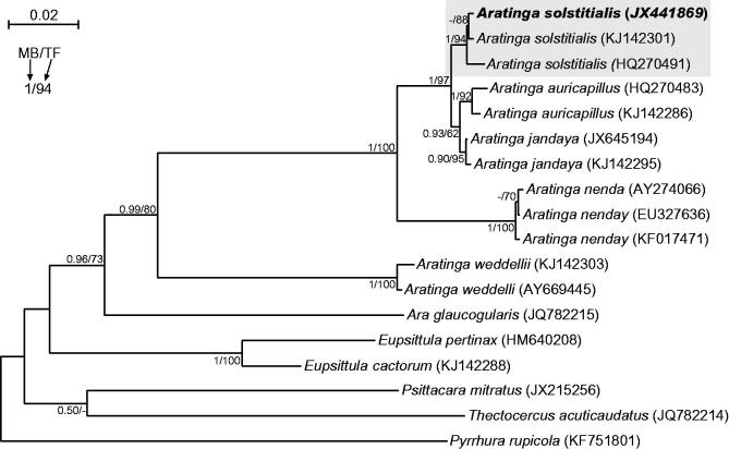 Figure 1.