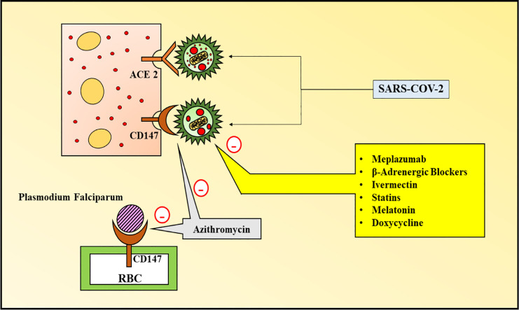 Unlabelled Image