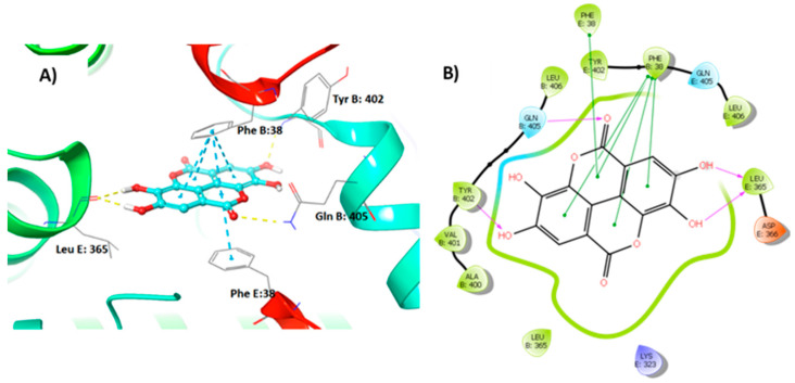Figure 7