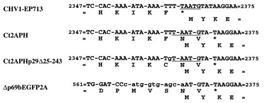 FIG. 6