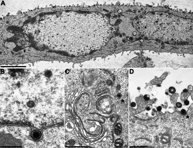 FIG. 7.