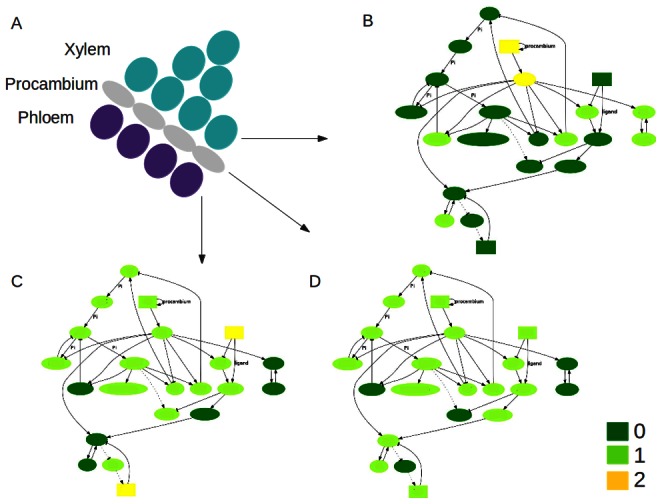 Figure 4