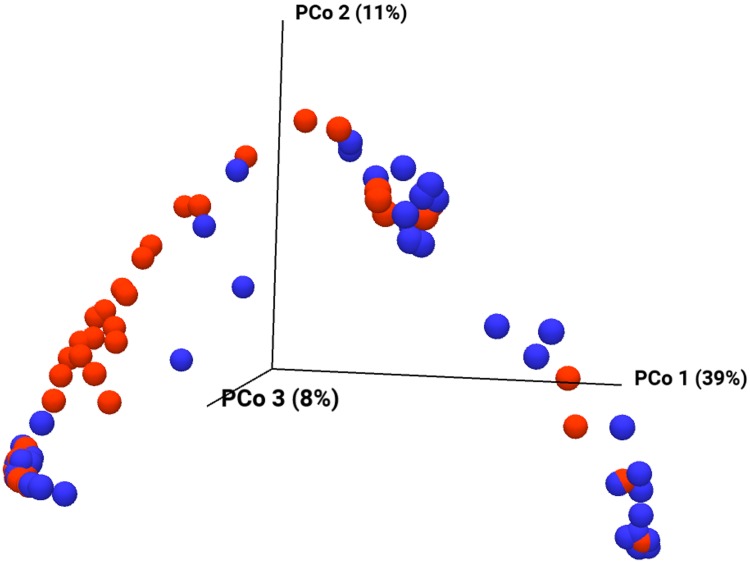 Fig 5