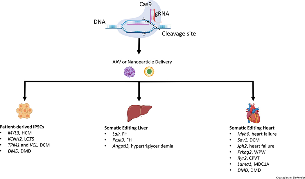 FIGURE 1: