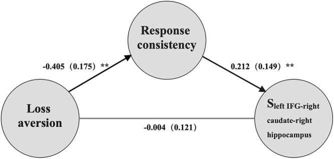 Fig. 8.