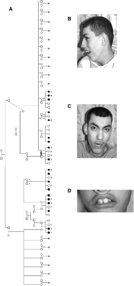 Figure 1