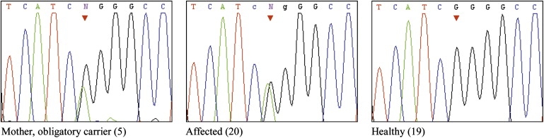 Figure 3