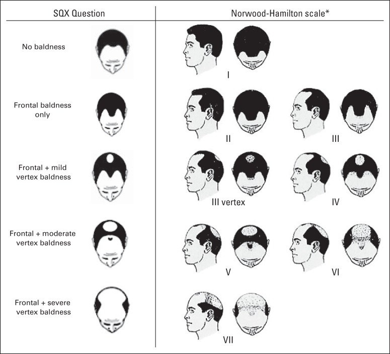 Fig 1.