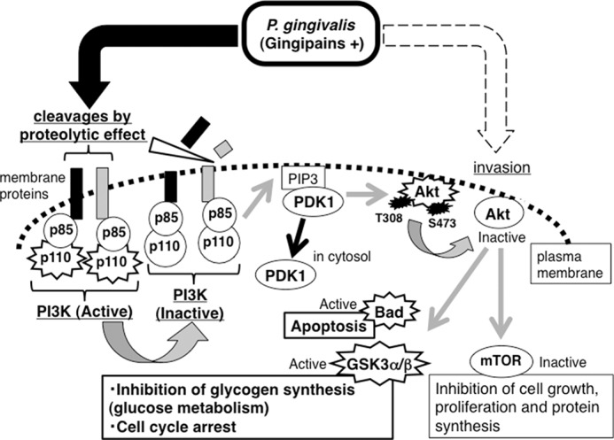 FIGURE 10.