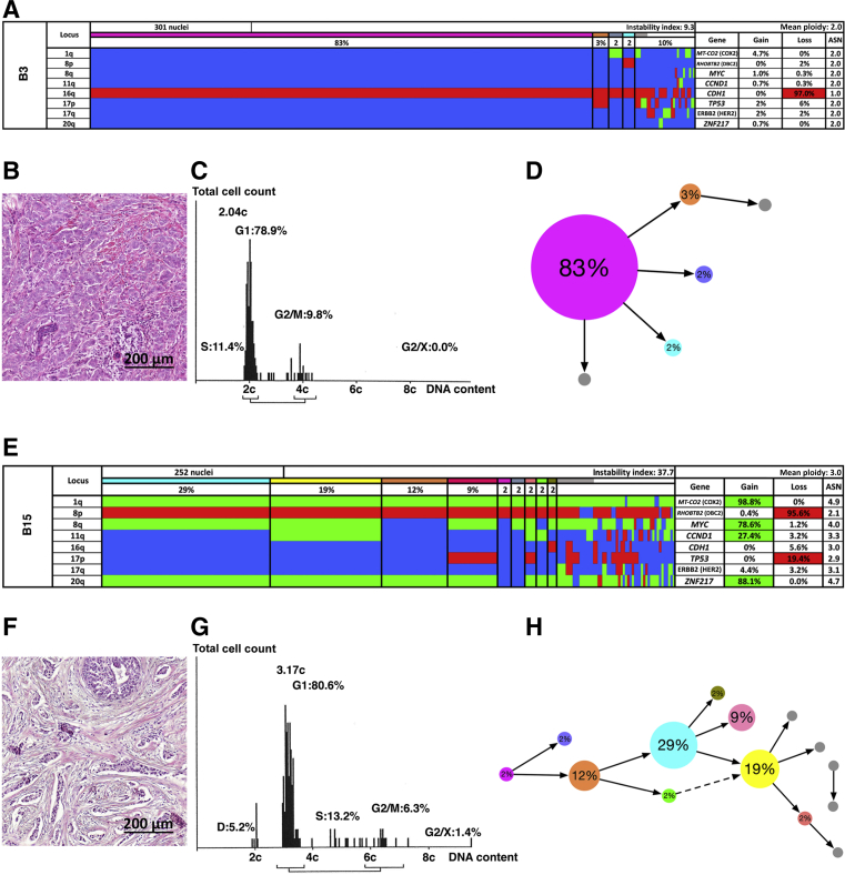 Figure 3