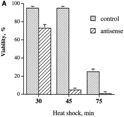 FIG. 9