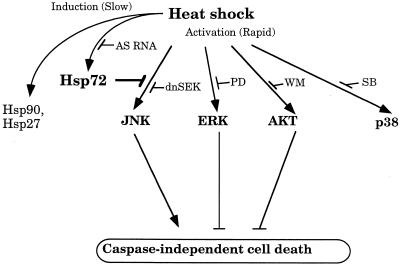 FIG. 11