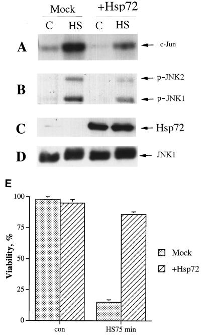 FIG. 8