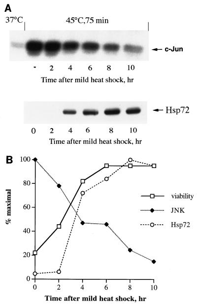 FIG. 6