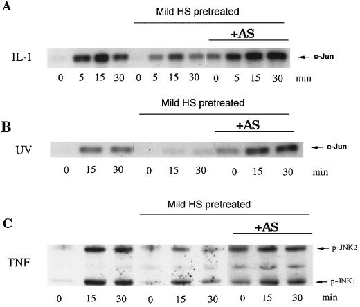 FIG. 10