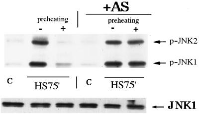 FIG. 7