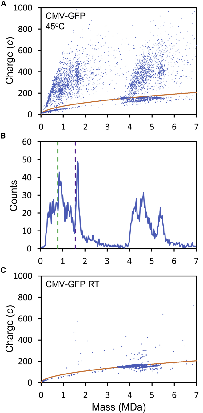 Figure 7