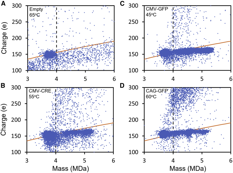 Figure 5