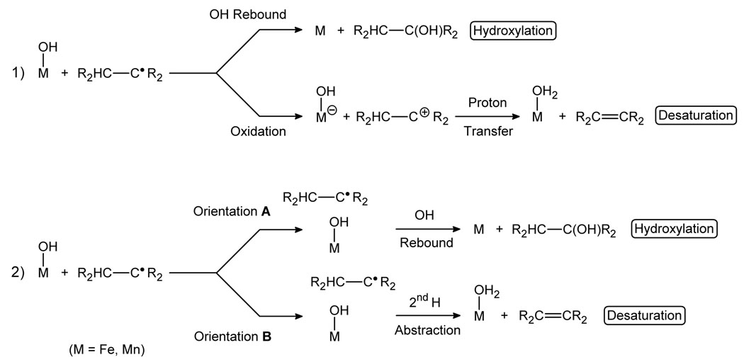 Scheme 2