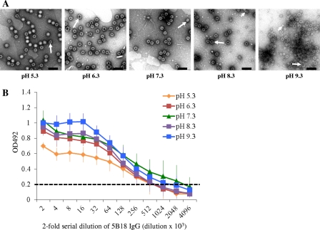 Fig 6