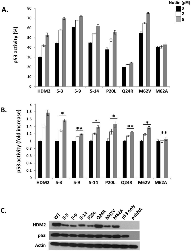 Figure 5