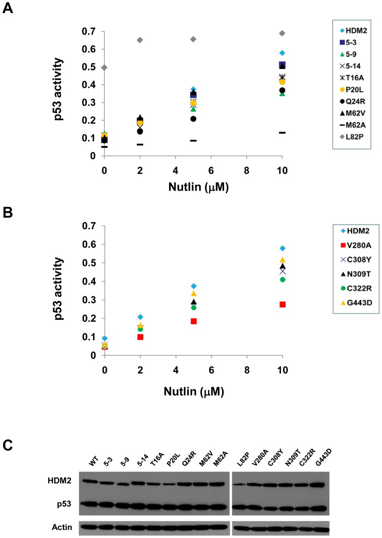 Figure 6