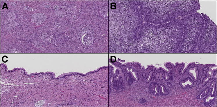 Figure 1