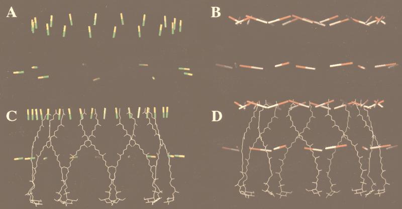 FIG. 6