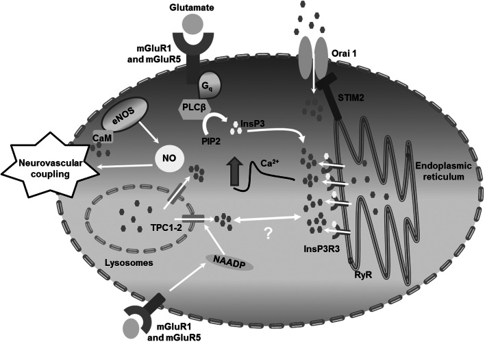 Fig. 9