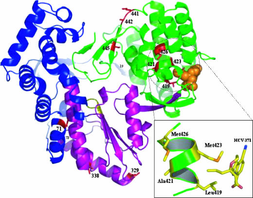 FIG. 4.