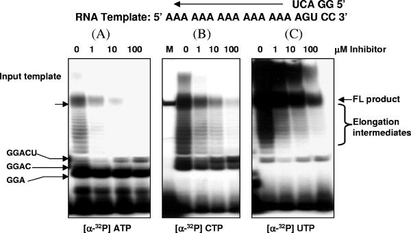 FIG. 8.