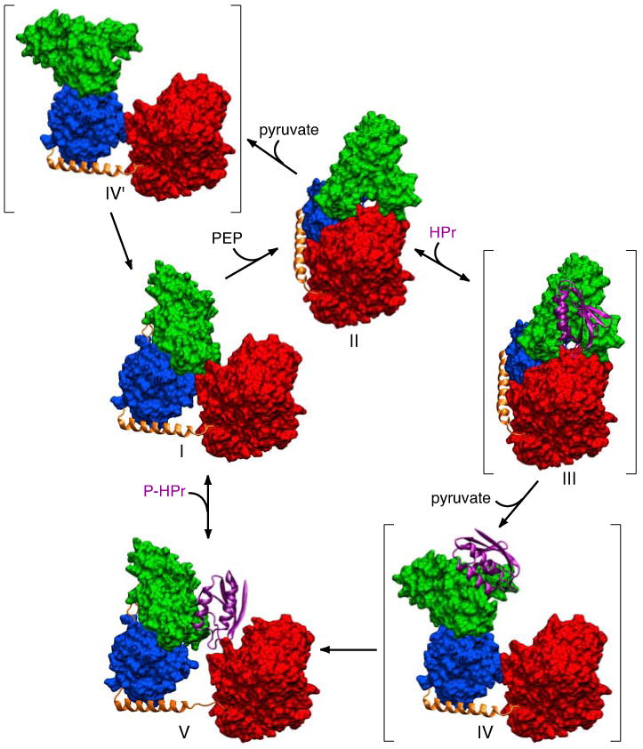 Figure 13