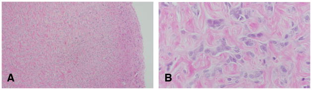 Figure 19