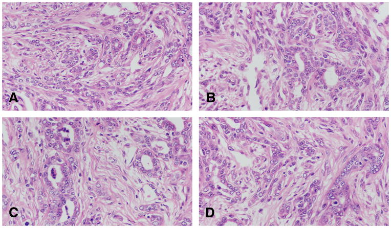 Figure 17