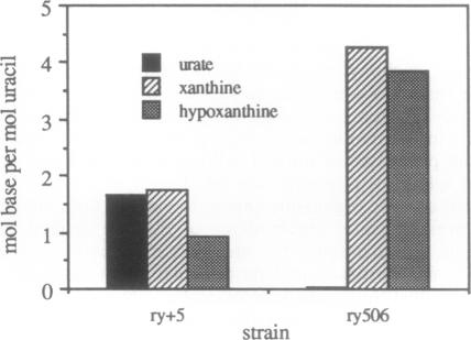 graphic file with name pnas01084-0134-a.jpg