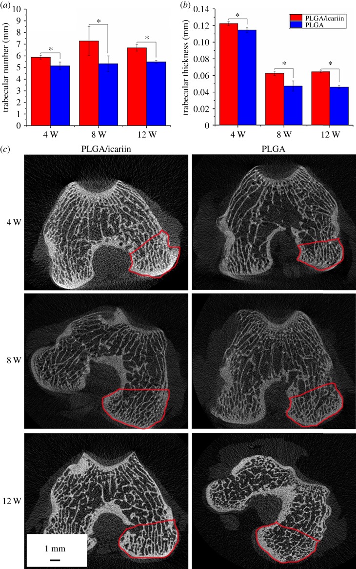 Figure 11.