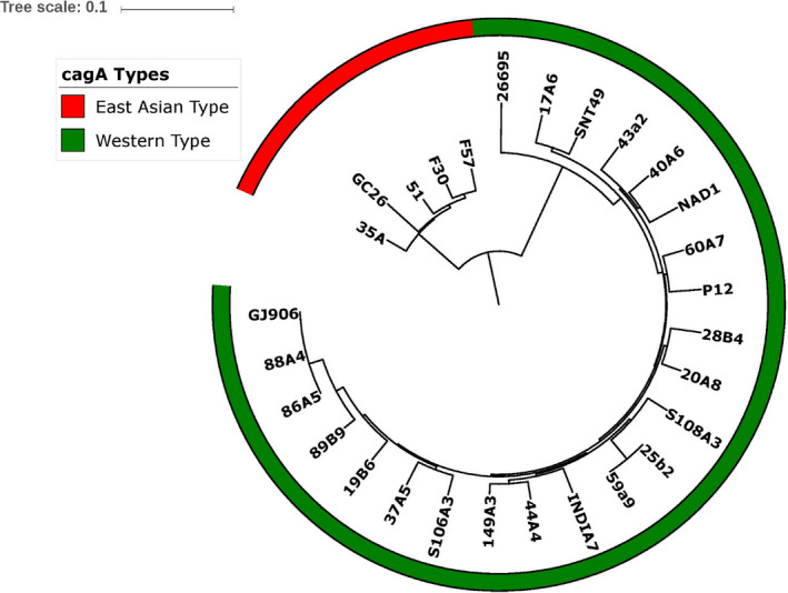 Figure 2